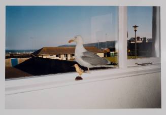 Color photo of a bird figurine inside a windowsill, and a seagull outside on the window ledge