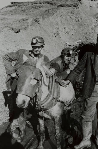 Three people wearing miner's hats and working clothes stand next to a light-colored horse in a face 