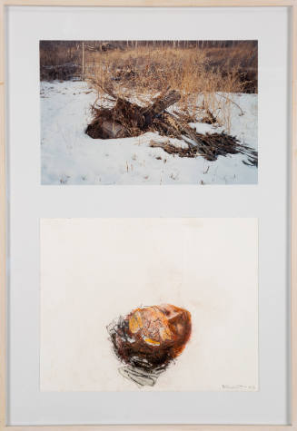 Photograph of logs in snow above a pastel sketch of copper-colored head formed by loose lines