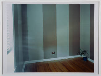 Corner of a room with a hardwood floor, striped walls, an outlet, and a plant on the right