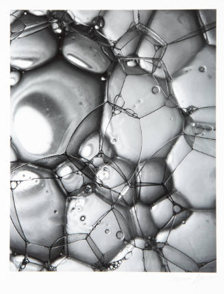 Close-up black-and-white photograph of soap bubbles