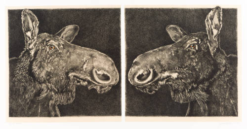 Print depicting two moose in profile, facing each other, with a white line separating them