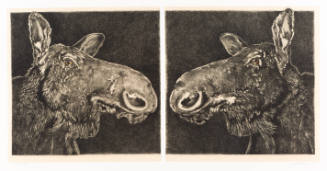 Print depicting two moose in profile, facing each other, with a white line separating them