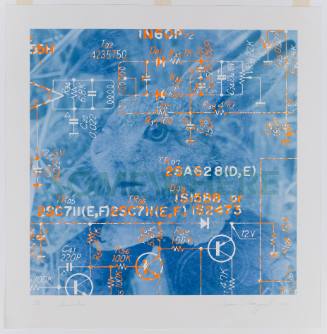 Blue and orange print with layered images of bunny and child’s face overlaid with a diagram