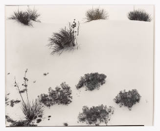 Untitled [white sands, New Mexico]
