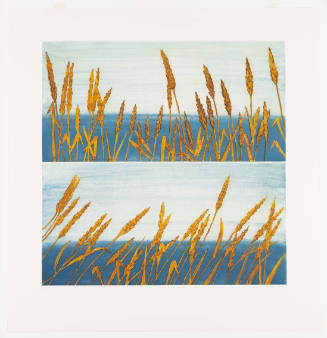 Reeds