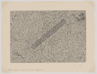 Irregular grid of lines that looks like plots of land as seen from above with an oblong cast shadow