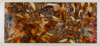 Swirling geometric fragments in shades of brown and of varying size blur in and out of focus
