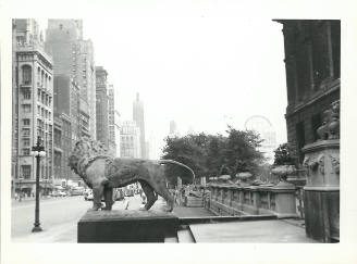 North facing view of Michigan Avenue, Chicago, with bronze lion at the steps of the Art Institute