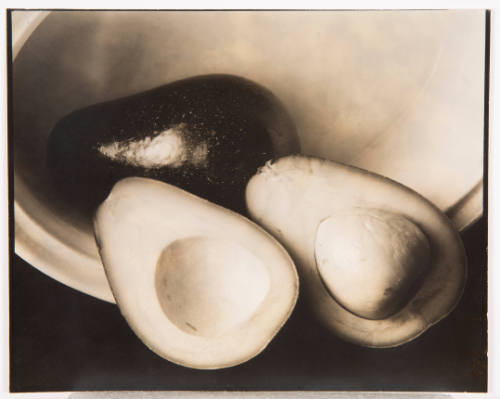 Avocadoes, 1930