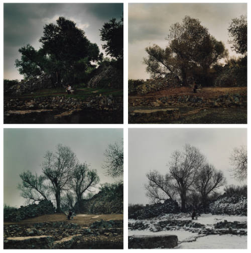 Four photographs of the artist sitting on a bench in the Summer, Fall, Winter, and Spring.