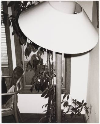 Black-and-white photo of corner of room, floor lamp with large round lampshade and tall plant behind