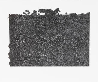 Dense black squiggly lines fill a rectangle that has ragged top and left edges and a small wave on t