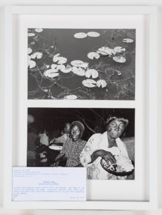 Two photos; above, lilypads on surface of a pond; below, two women eating at wedding reception