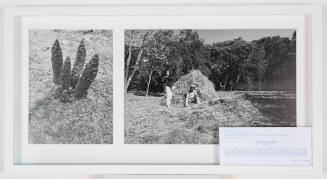 Two photos; at left, a succulent plant; at right, man and woman with pitchforks by large pile of hay