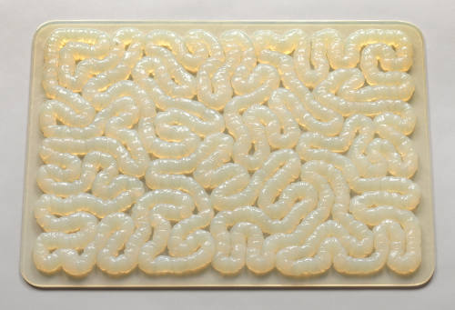 Clear, nearly white mat in the shape of a doormat with a pattern suggesting human intestines