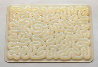 Clear, nearly white mat in the shape of a doormat with a pattern suggesting human intestines