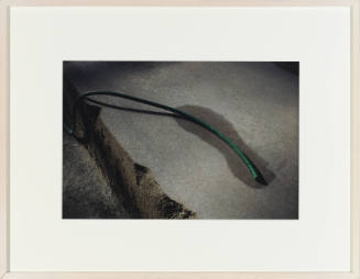 Color photo of green garden hose laying on smooth cement with small puddle around the nozzle