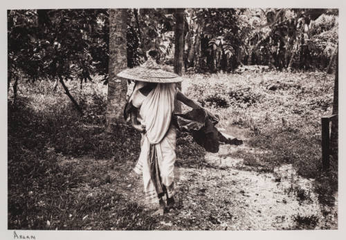 Figure wearing a wide-brimmed hat carrying a basket of large leaves through a forest path