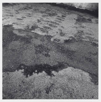 Close-up photograph of pavement surface with a darker patch running through center of image