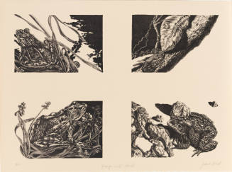Grid of four detailed images of frogs represented with foliage, water, and rocks