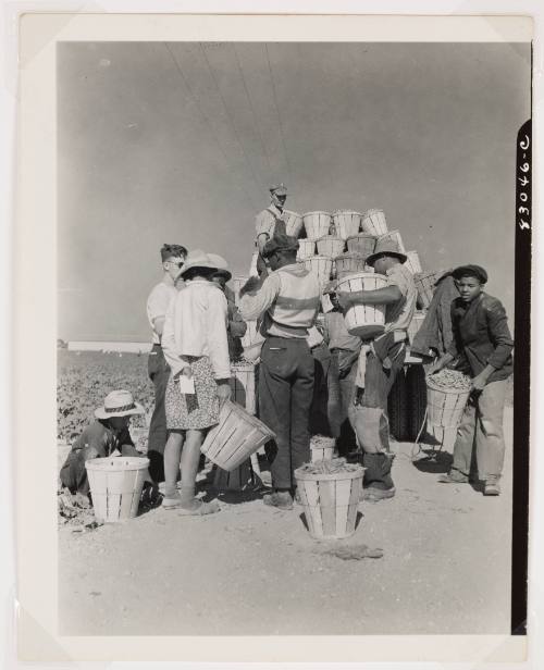 A group of men, women, and children with different skin tones hold baskets and stand behind a truck
