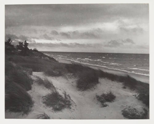 Untitled (Indiana Dunes)