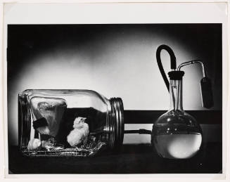 Chick in Germless Jar, from the series Life Without Germs, for Life Magazine
