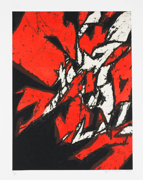 Abstract print with craggy overlapping lines that form red, black, and white shapes