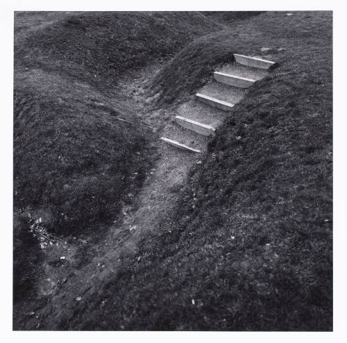 Deteriorated stone steps running down the side of a hill into a crevice with debris