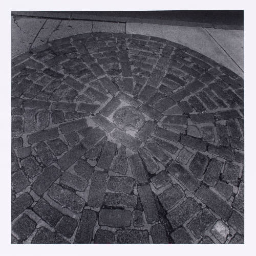 Close-up black-and-white photograph of a sidewalk with bricks laid in a circular pattern