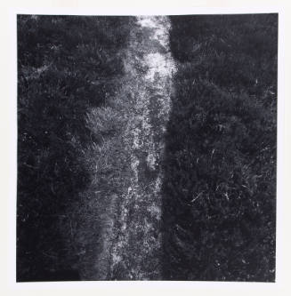 Black-and-white photograph of an overgrown path of crumbling concrete with grass on both sides