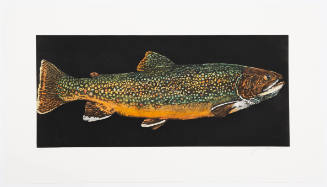 Brook Trout