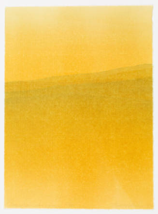 Chameleon Horizon, from The Second American Printmakers Portfolio