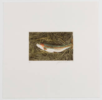 Untitled (Fish in Grass) from the portfolio On the Outdoor Life of Ernest Hemingway